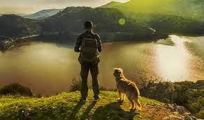 Dog with human overlooking river